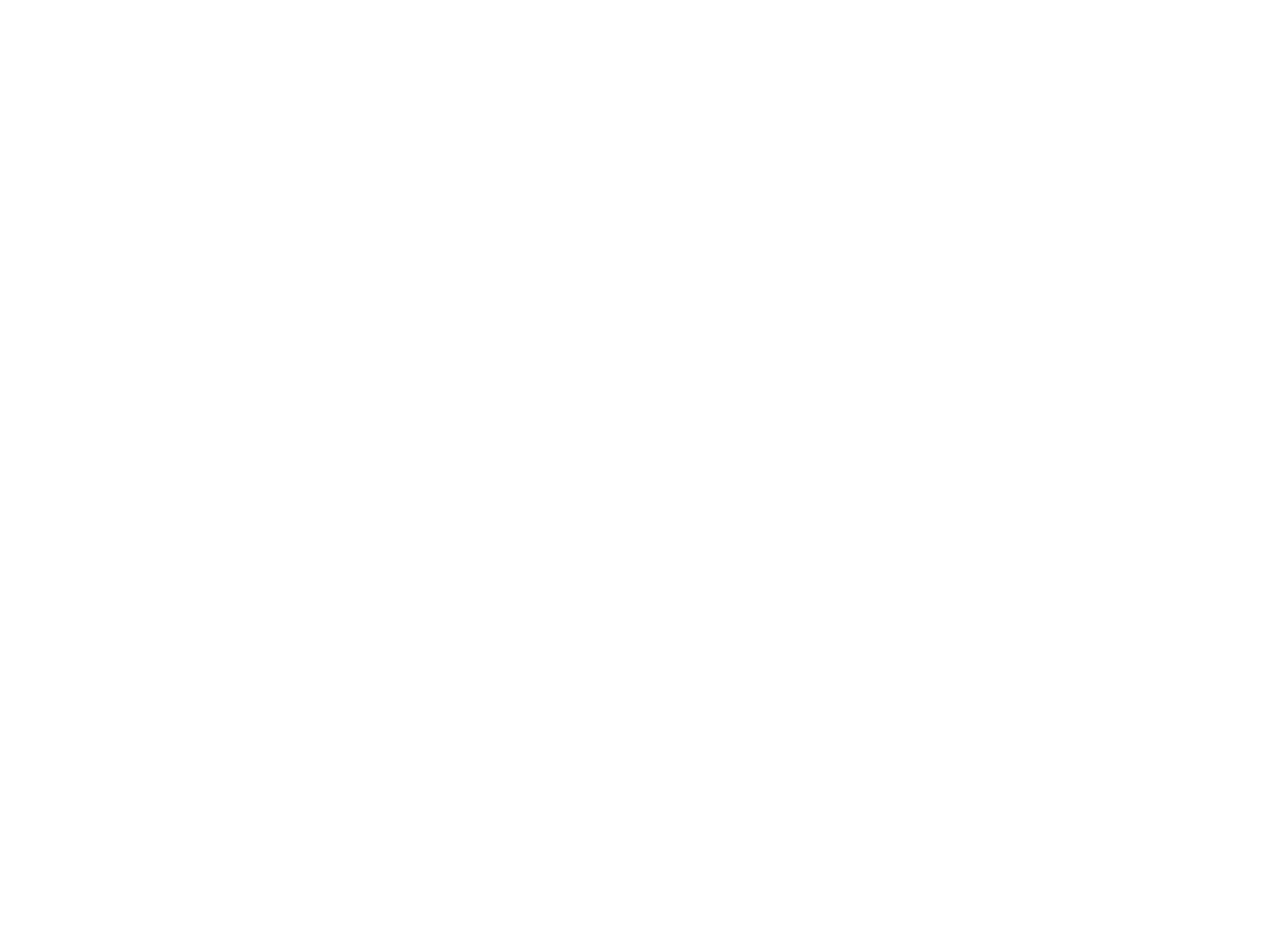 LOGO_HDS_POWER_SOLUTIONS_BLANC